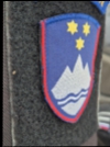 Strokovna ekskurzija v Posavje 2025