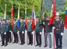 Brezovici pri Borovnici