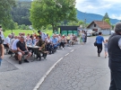 Brezovici pri Borovnici