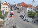Strokovna ekskurzija v Posavje 2025